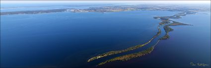 Mitchell River - VIC (PBH3 00 33807)